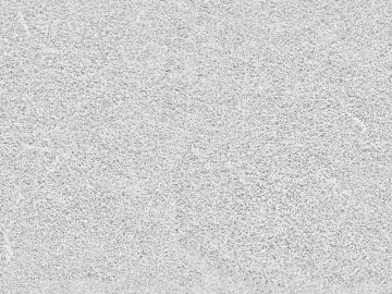 Black and White Bump texture (ID:ffajf5646)