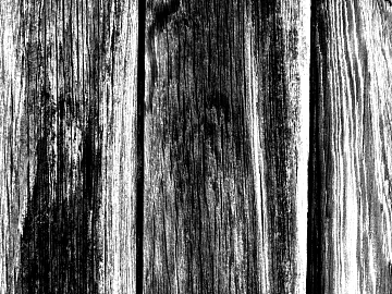 Wood grain black and white bump texture (ID:ffach747004)