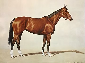 Realistic Wind Brown Horse Decorative Painting texture (ID:ffaeh619496)