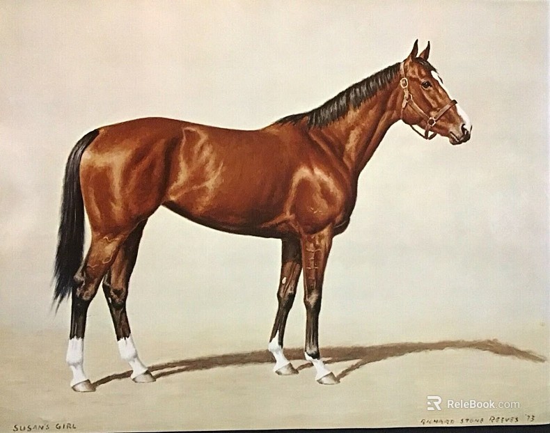 Realistic Wind Brown Horse Decorative Painting texture
