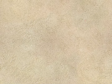 Mud texture (ID:ffacg74034)