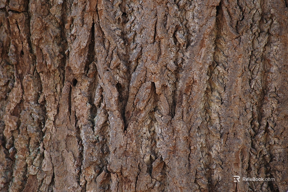 bark texture