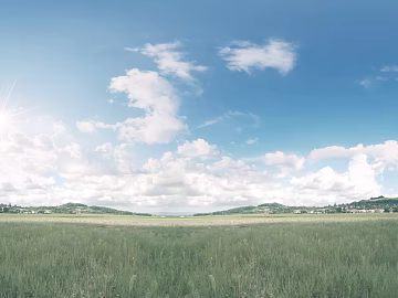 Wild Scenery texture (ID:ffagg30344)