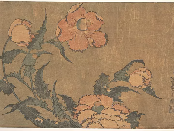 Plant painting texture (ID:ffach856870)
