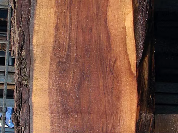 Wood grain texture (ID:ffaag74846)