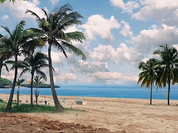 Wild Scenery texture (ID:ffaeg99350)