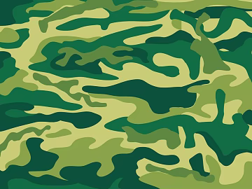 Camouflage texture (ID:ffabg31407)