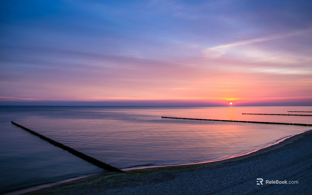 Wild Scenery texture