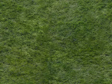 Turf texture (ID:ffaag21241)