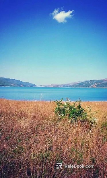 Wild Scenery texture