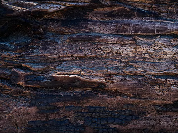bark texture (ID:ffabg03447)