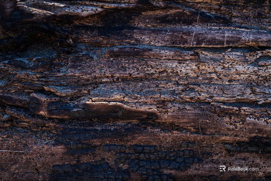 bark texture