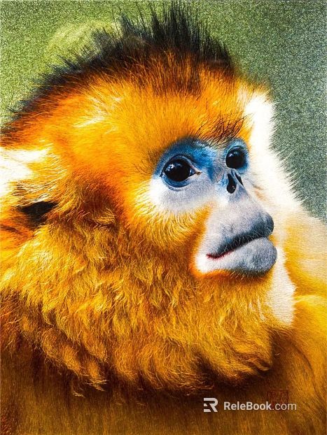 Animal painting texture