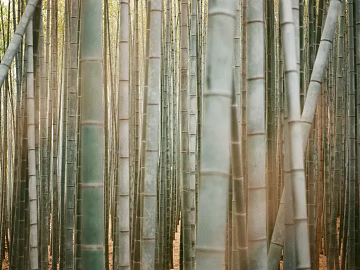 landscape painting texture (ID:ffaeg35333)