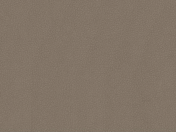 fine grain leather texture (ID:ffacg44689)
