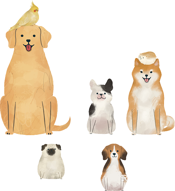 Animal painting texture