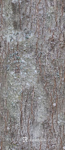 bark texture