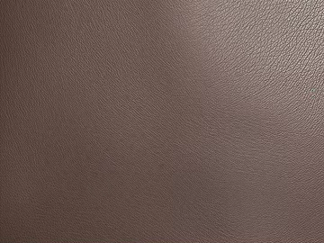 Coarse-grain leather 3d model