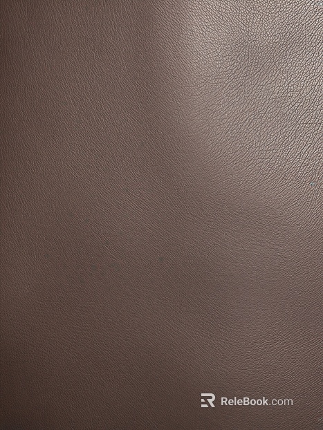 Coarse-grain leather texture