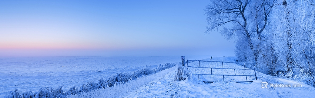 Snow texture