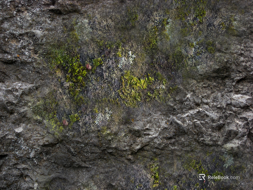 Rock wall texture