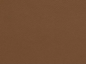 Coarse-grain leather texture (ID:ffach495073)