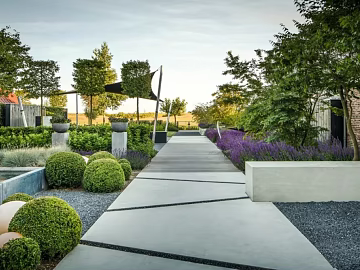 Courtyard texture (ID:ffacg55054)