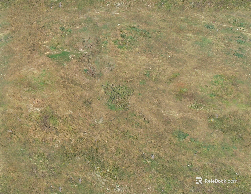 Turf texture