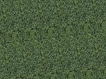 Turf 3d model