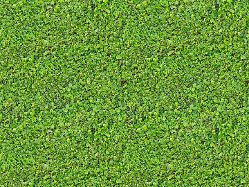 Green lawn ground texture (ID:ffach950156)