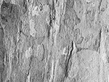 Black and White Bump texture (ID:ffajg54725)