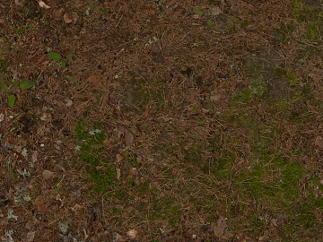 Turf texture (ID:ffaaf5425)
