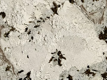 marble snow mountain orchid texture (ID:ffajh476277)