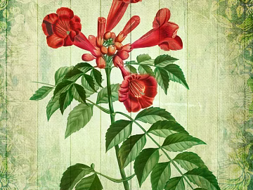 Plant painting texture (ID:ffaag86592)