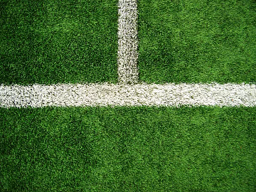 Turf texture (ID:ffabg23907)