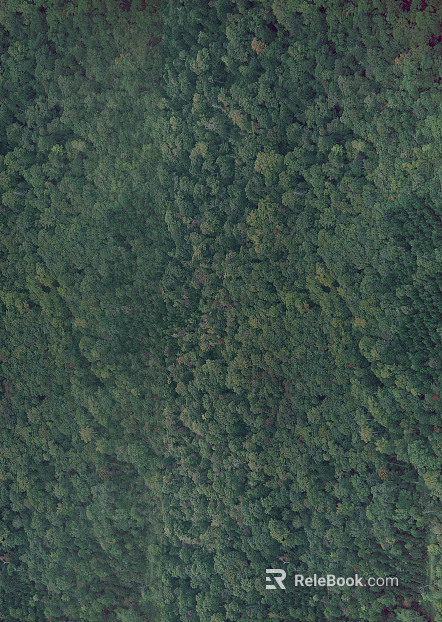 moss texture
