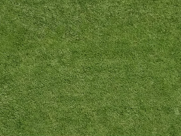Turf texture (ID:ffajg92267)