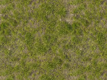 yellow-green withered turf texture (ID:ffaeh985082)