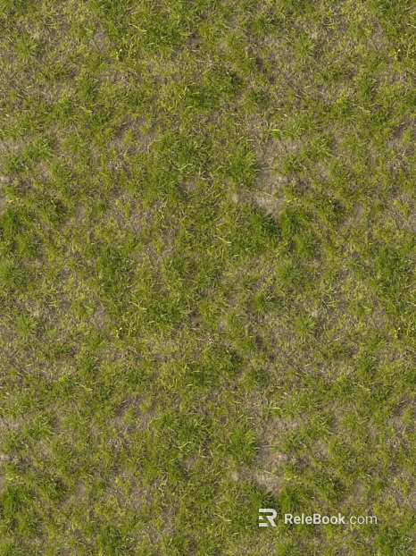 yellow-green withered turf texture