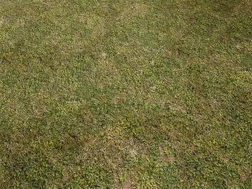 Turf texture (ID:ffajg92956)