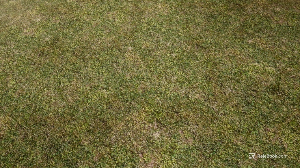Turf texture