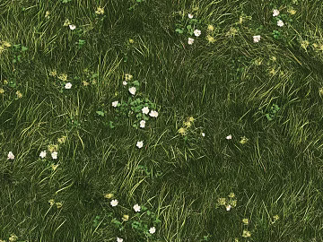 Turf grass texture (ID:ffach254428)