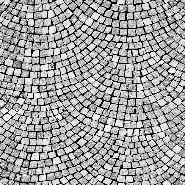Stone Paving texture