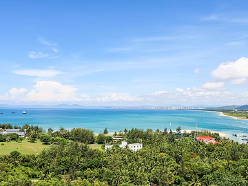 Wild Scenery texture (ID:ffach758274)