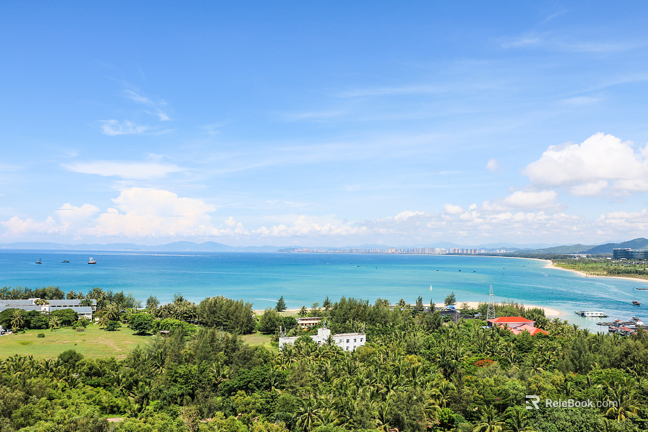 Wild Scenery texture