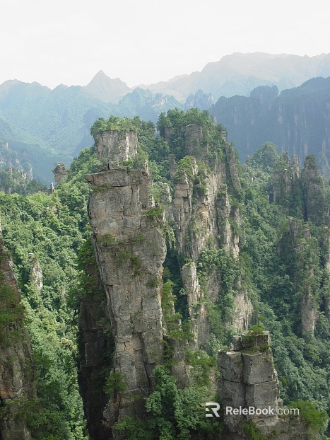 Wild Scenery texture
