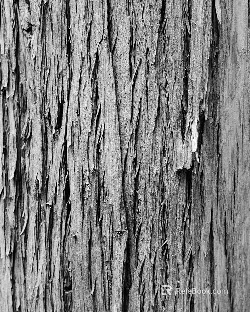 Black and White Bump texture