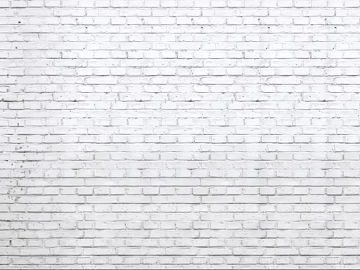 Brick wall Milky White wall texture (ID:ffacf0296)