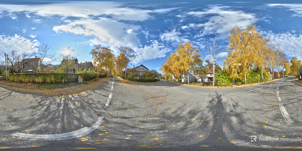 Rural Road Community HDR texture