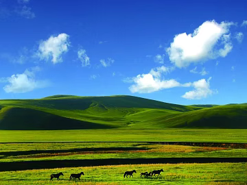 Wild Scenery texture (ID:ffagg11503)